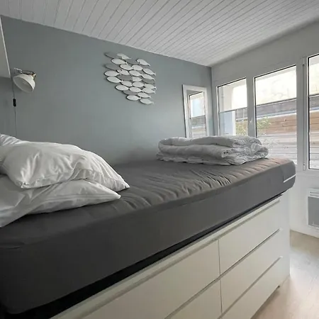Cosy In The Center Of Apartment *